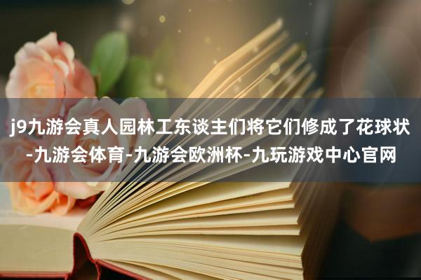 j9九游会真人园林工东谈主们将它们修成了花球状-九游会体育-九游会欧洲杯-九玩游戏中心官网